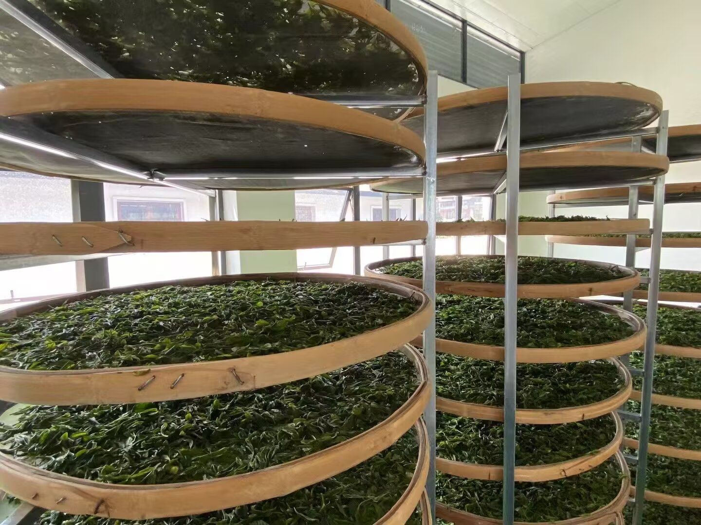 茶叶萎凋架萎凋