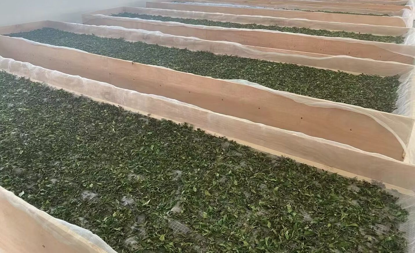 茶叶萎凋槽萎凋