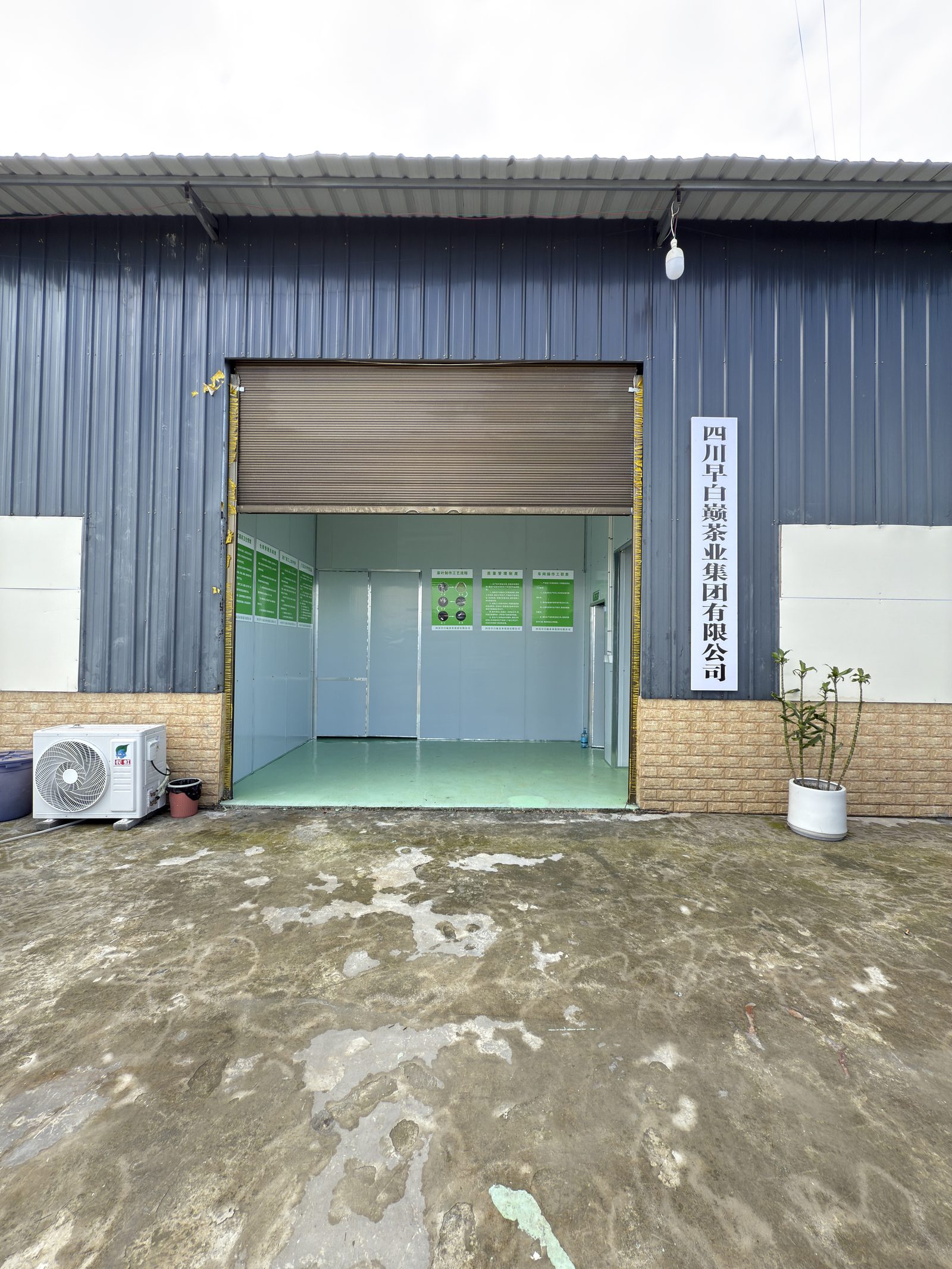 早白巅·有机荒野红茶茶园风光 - 四川早白巅茶业有限公司官方网站首屏视觉
