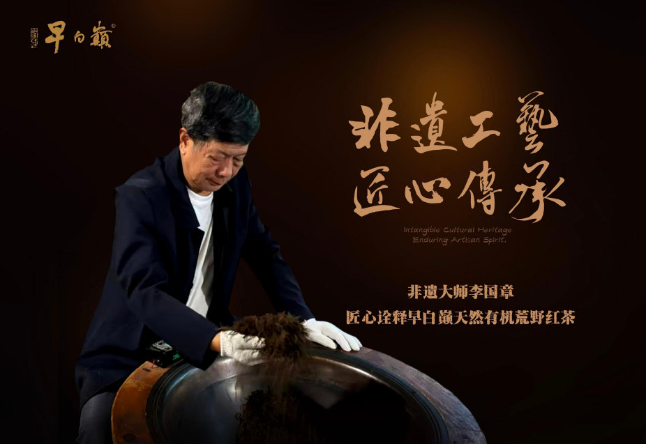 从里斯本金奖到六百年茶脉:一杯川红工夫背后的荣誉与历史